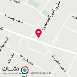 عکس کفش عرشیا