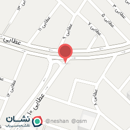 عکس کیف و کفش مروارید 