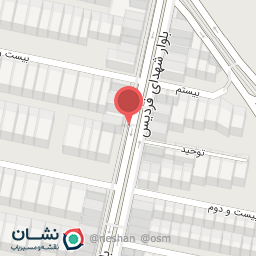 عکس کیف و کفش سالیوان