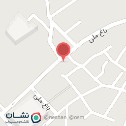 عکس آجیل و خشکبار علی زاد