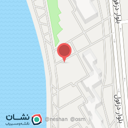 عکس بادی اسپینر شعبه گلستان