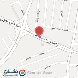 عکس نقل خطایی