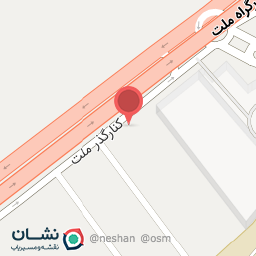 عکس فروشگاه رینگ تایرنامور