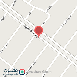 عکس کیف و کفش ستاره