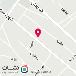 عکس فست فود فلافیلو
