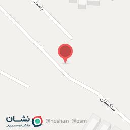 عکس صحافی نیلی