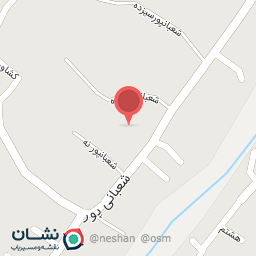 عکس پخش زیتون و روغن زیتون سید