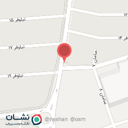 عکس اسنک پن پن