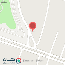 عکس پیتزا آرش