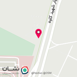 عکس دکتر امید یازرلو