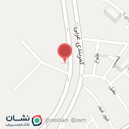 عکس عاملی توزیع روغن نیک پناه