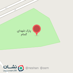 عکس جیگر طلا