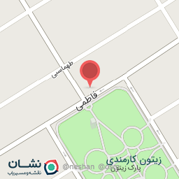 عکس فست فود چیکو بست