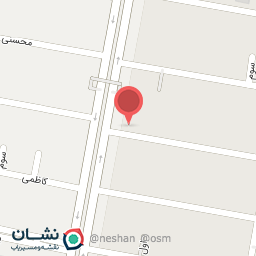 عکس تهیه غذای آریا