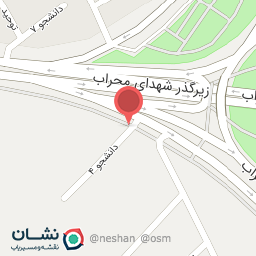 عکس فروشگاه قرنیز ناروند