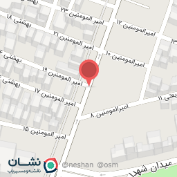 عکس کفش ملی زاهدان، کد 1459