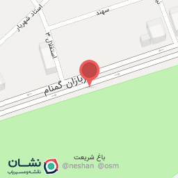 عکس پیتزا پانا