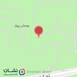 عکس رستوران پرواز