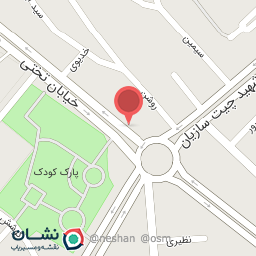 عکس فست فود