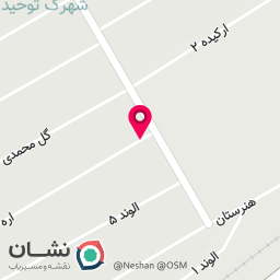 عکس حسینیه سید الشهدا (آل کبودی ها)