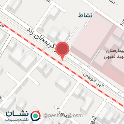 عکس دکتر محمد حسن نعمتی