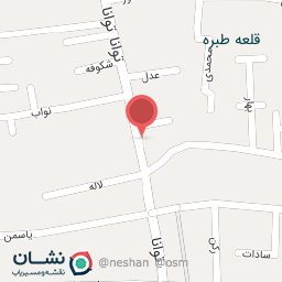 عکس لیتوگرافی طاها 