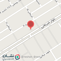 عکس کیف و کفش برگ سبز