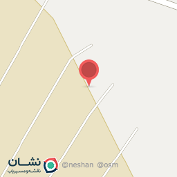عکس پرورش اسب جوان 