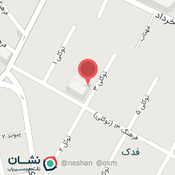 عکس کیف و کفش کودک پانو