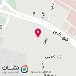 عکس کیف و کفش صالح