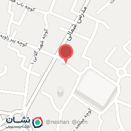 عکس کیف و کفش پاشنه طلا