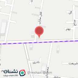 عکس خرما فروشی نخل