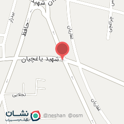 عکس کبابی مسعود