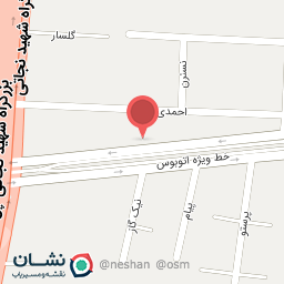 عکس خودپرداز 