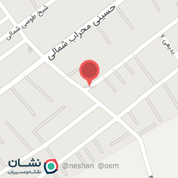 عکس کیف طیبی