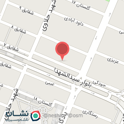 عکس برق و انژکتور محسن کمانی