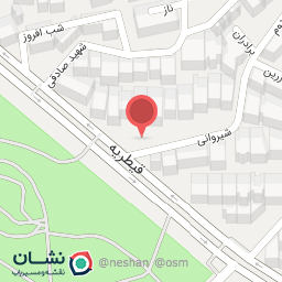 عکس پیتزا پارک