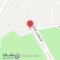 عکس طباخی سعید