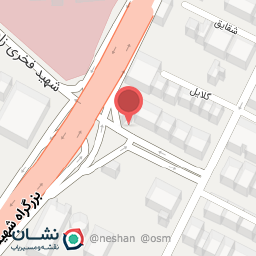 عکس دکتر مریم حیدرزاده