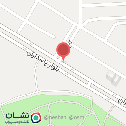 عکس مجموعه غذایی رایس