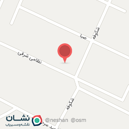 عکس دکتر نازیلا دزنابی