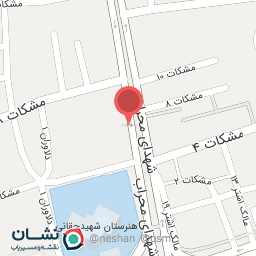 عکس اتو شاهکار