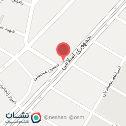 عکس تودوزی شاهین 