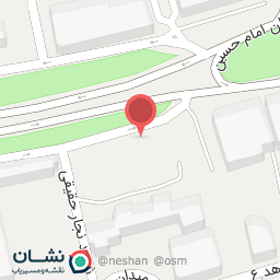 عکس کیف و کفش درسا