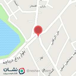 عکس فست فود