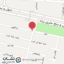 عکس قالیشویی ایرانیان