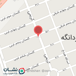 عکس کفش مهرشاد