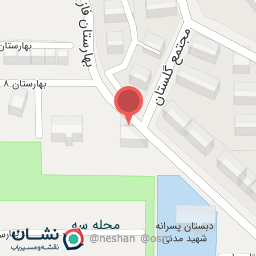 عکس چلوکبابی ناب بناب