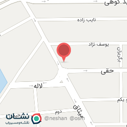 عکس اگزوز سازی