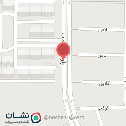 عکس تعمیرگاه تخصصی چینی فرشید